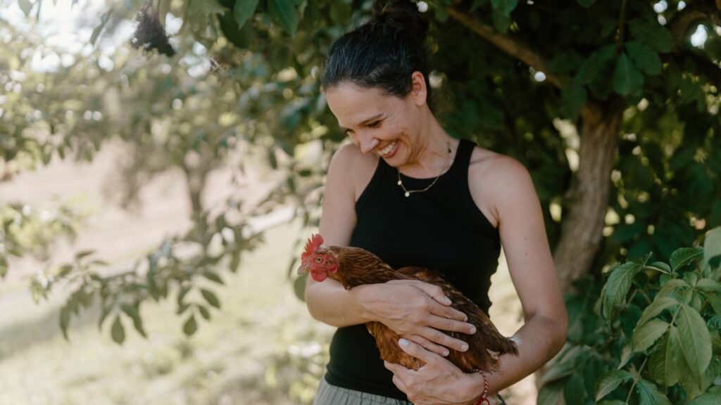 Bio Weiden Eier vom Handlhof Allerheiligen bei Wildon
